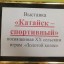Выставка "Катайск - спортивный" к XX сельским играм "Золотой колос"
