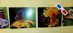 Выставка 3D фото "Живые цветы" тропических бабочек