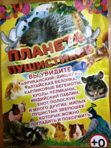Выставка "Планета пушистиков"