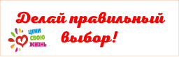 СДЕЛАЙ ПРАВИЛЬНЫЙ ВЫБОР