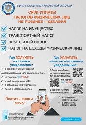 ОБ УПЛАТЕ НАЛОГОВ ФИЗИЧЕСКИХ ЛИЦ В 2025 ГОДУ
